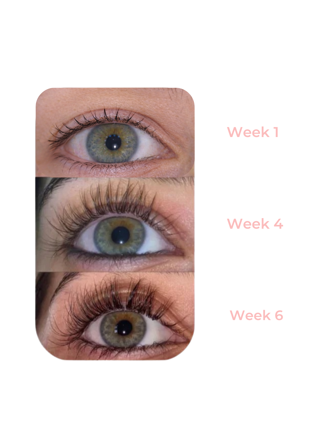 Elvéra Eyelash serum